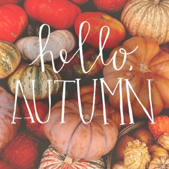 Wine glasses Fall Gift Set - Picture 12 of 12